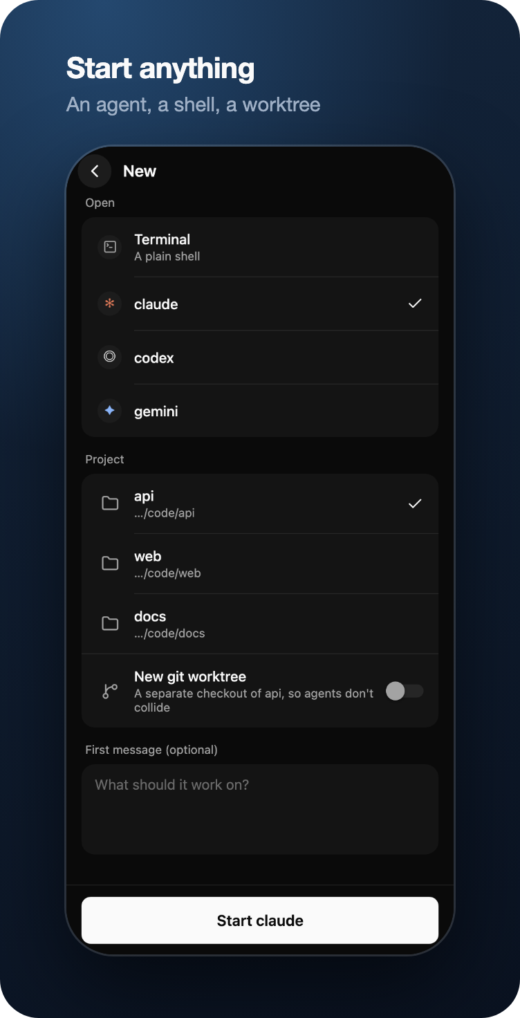 Starting an agent, a shell or a worktree